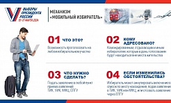 Дистанционное электронное голосование «Мобильный избиратель» на выборах Президента России: как пользоваться? 