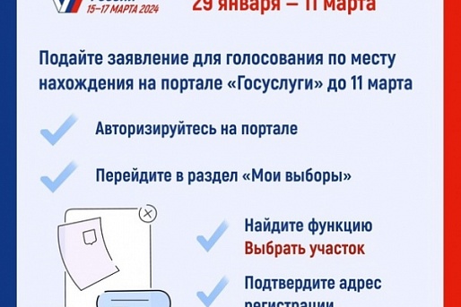 Дистанционное электронное голосование «Мобильный избиратель» на выборах Президента России: как пользоваться? 